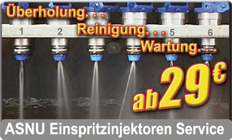 ASNU Einspritzdüsen / Injektoren Service